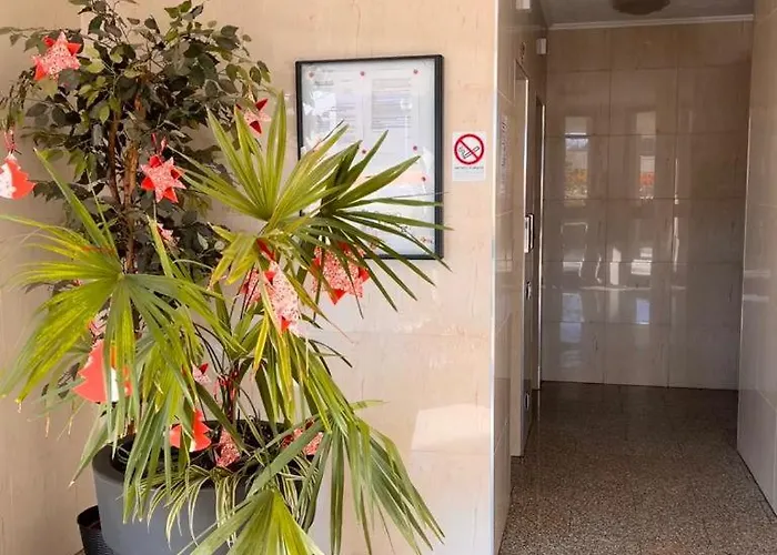 Apartament Coco *